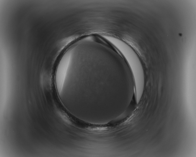 X0000086760156200704201752