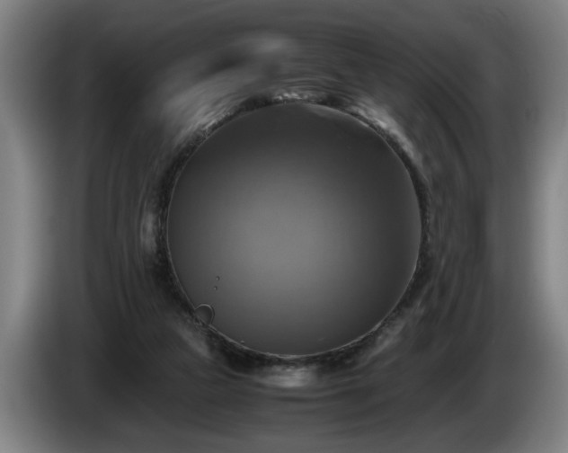 X0000086760161200704201752