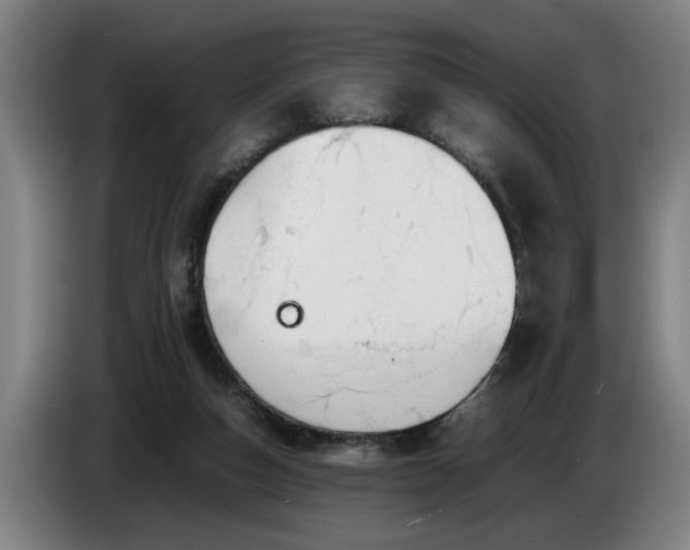 X0000086760162200704201752