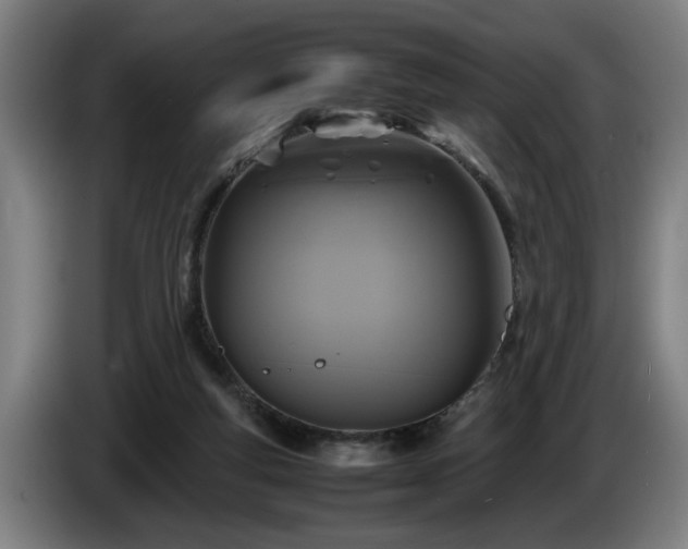 X0000086760163200704201752