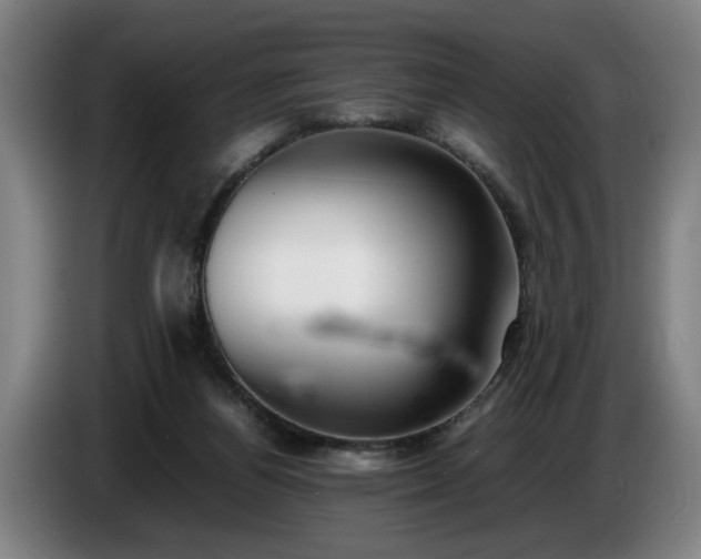 X0000086760164200704201752