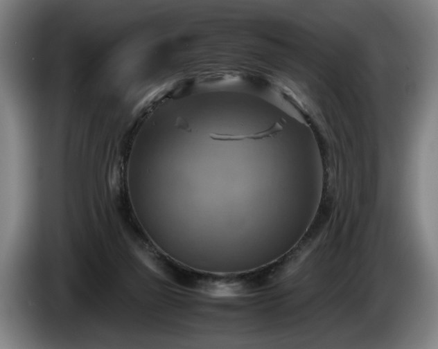 X0000086760165200704201752