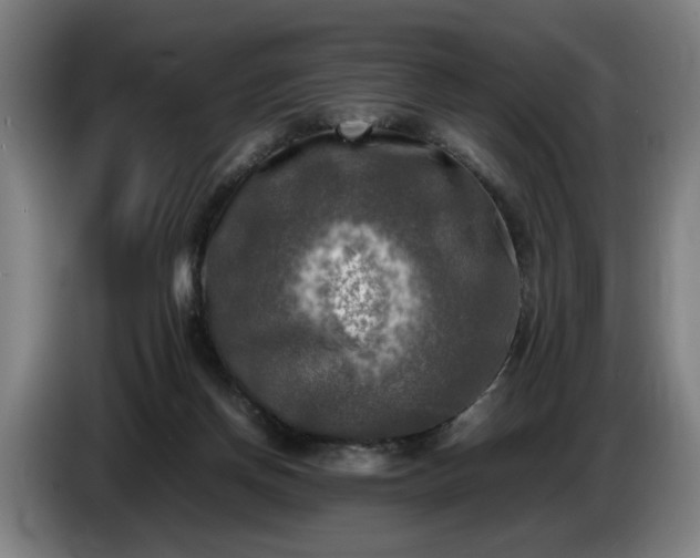 X0000086760166200704201752