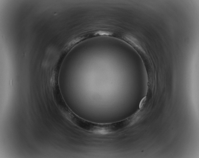 X0000086760167200704201752