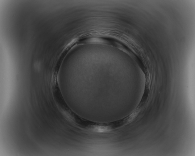 X0000086760168200704201752