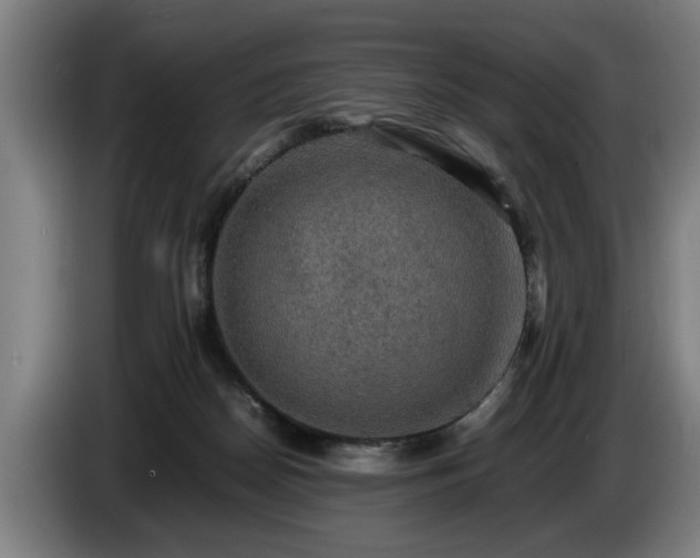 X0000086760170200704201752