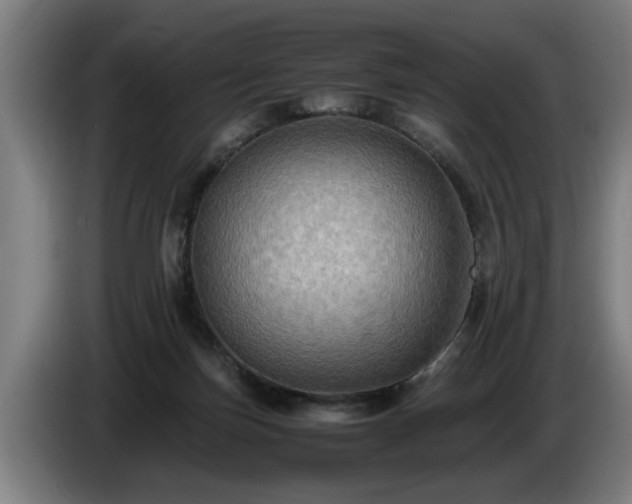 X0000086760171200704201752