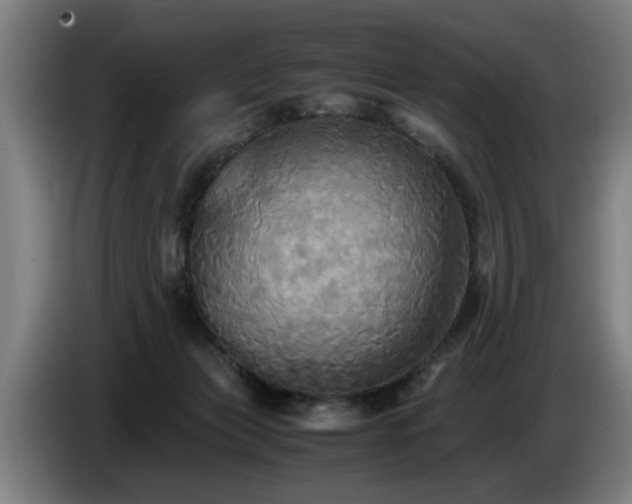 X0000086760173200704201752