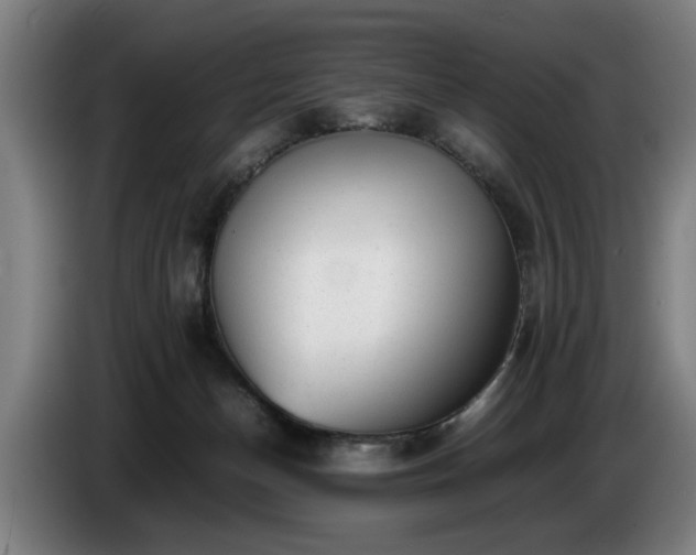 X0000086760174200704201752