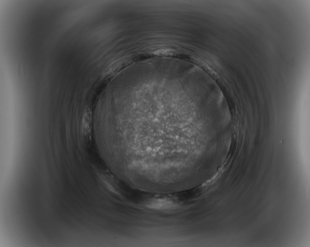 X0000086760175200704201752