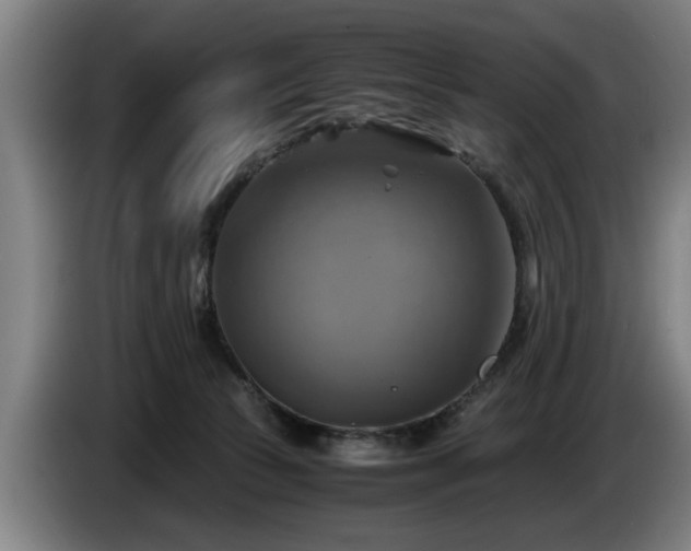 X0000086760177200704201752