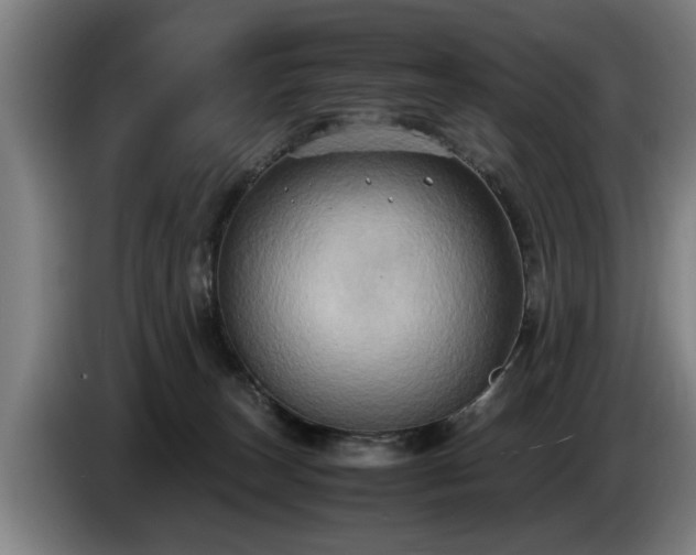 X0000086760179200704201752