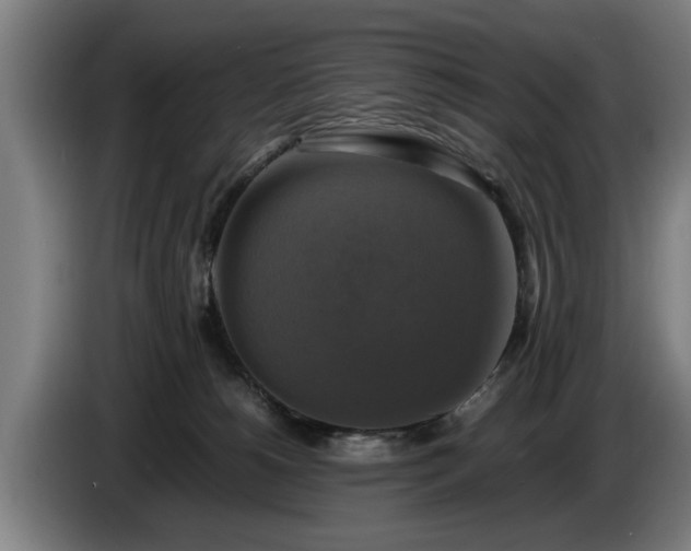 X0000086760180200704201752