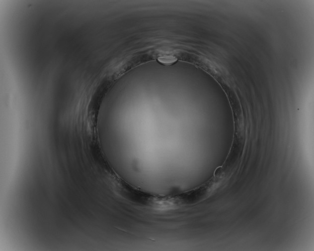 X0000086760181200704201752