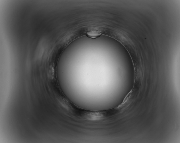 X0000086760183200704201752