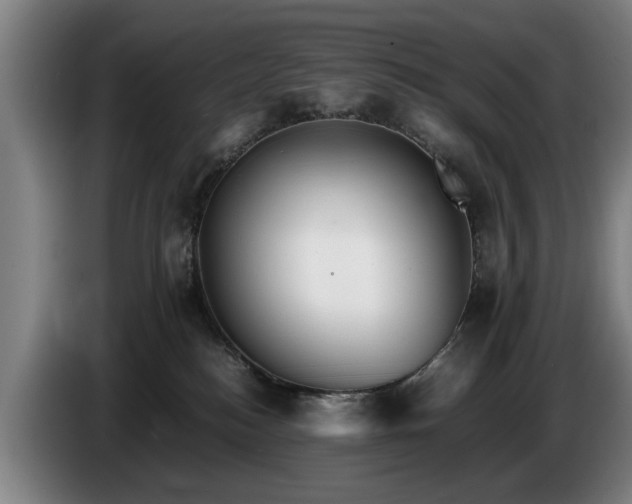 X0000086760184200704201752