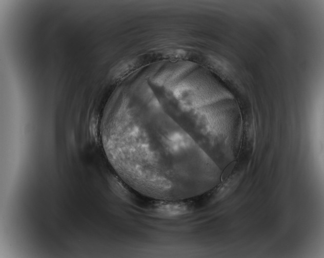 X0000086760185200704201752