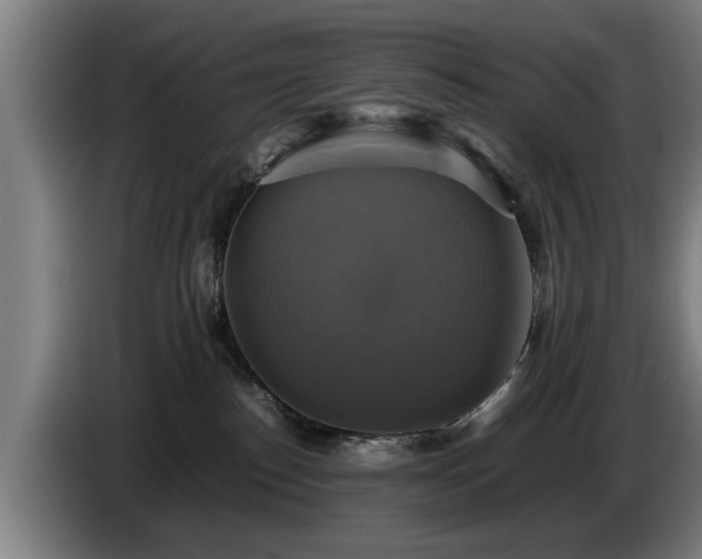 X0000086760186200704201752