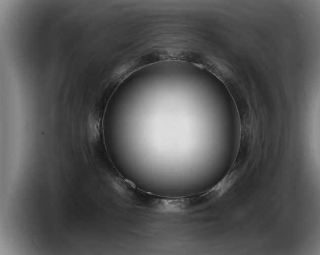 X0000086760188200704201752