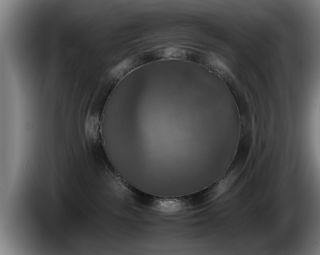 X0000086760189200704201752