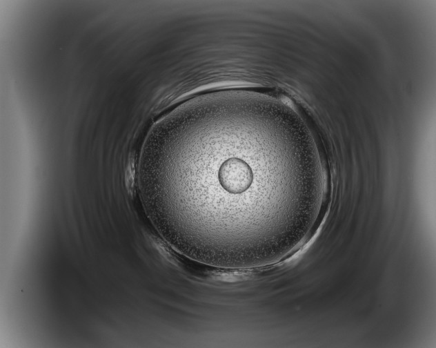 X0000086760190200704201752