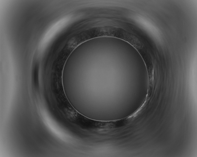 X0000086760191200704201752