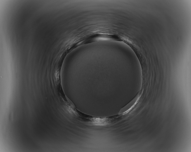 X0000086760192200704201752