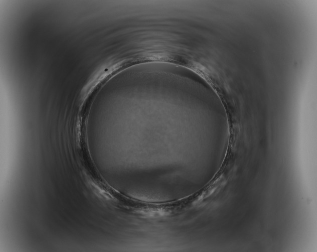 X0000086760194200704201752