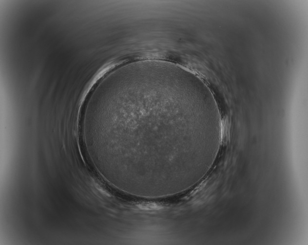 X0000086760195200704201752