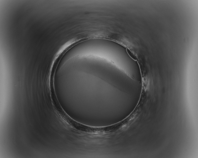 X0000086760196200704201752