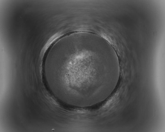 X0000086760199200704201751