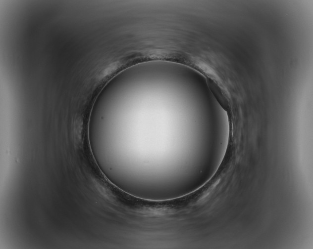 X0000086760201200704201751