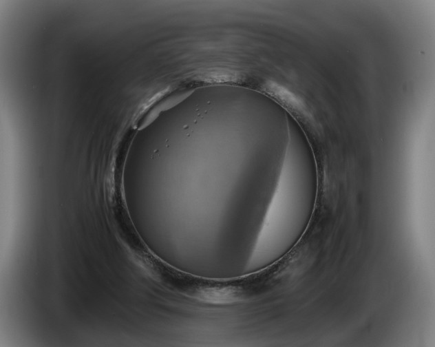 X0000086760202200704201751