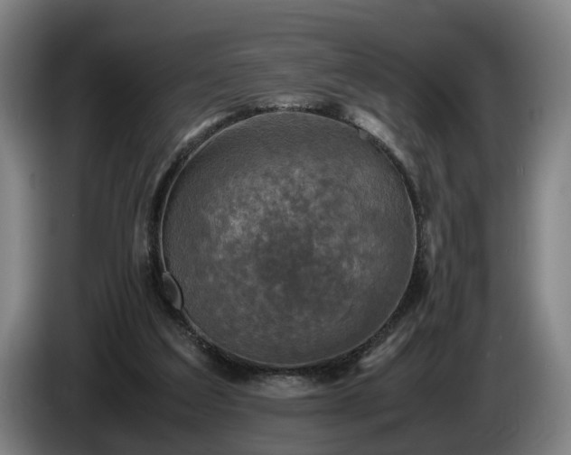 X0000086760203200704201751