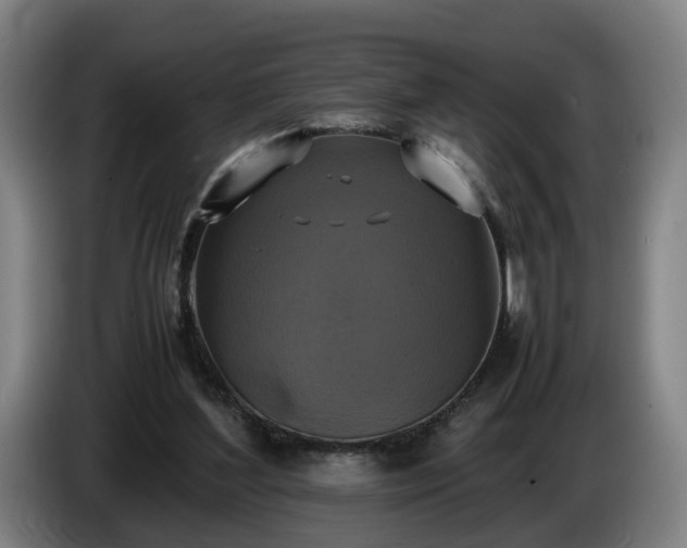 X0000086760204200704201751