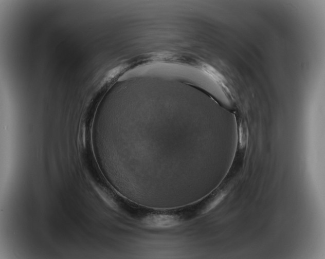 X0000086760205200704201751