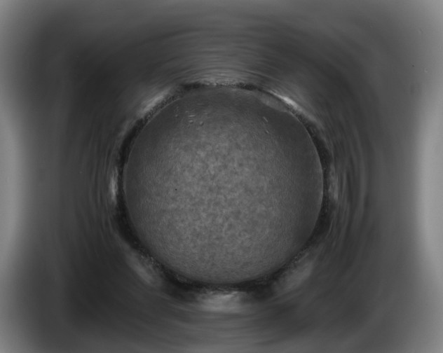 X0000086760206200704201751