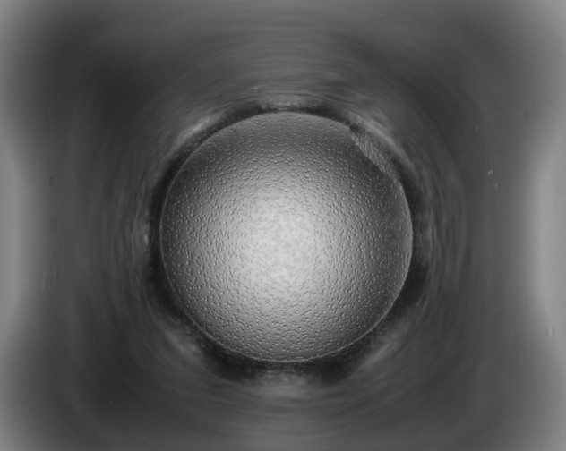 X0000086760207200704201751