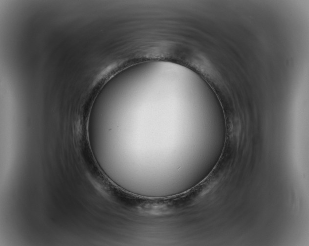 X0000086760208200704201751