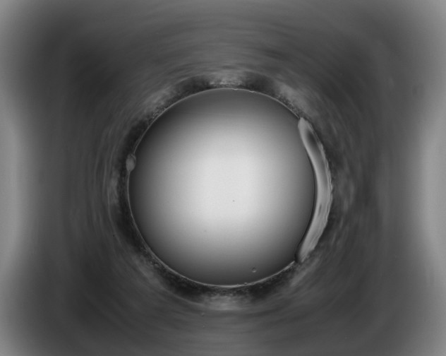 X0000086760209200704201751