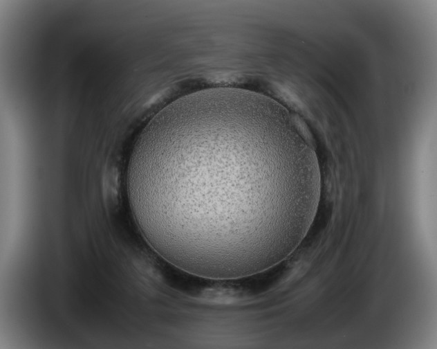 X0000086760211200704201751