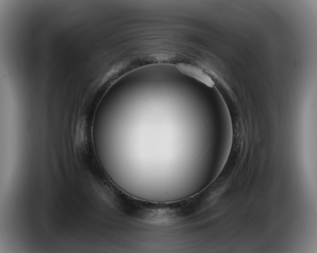 X0000086760212200704201751