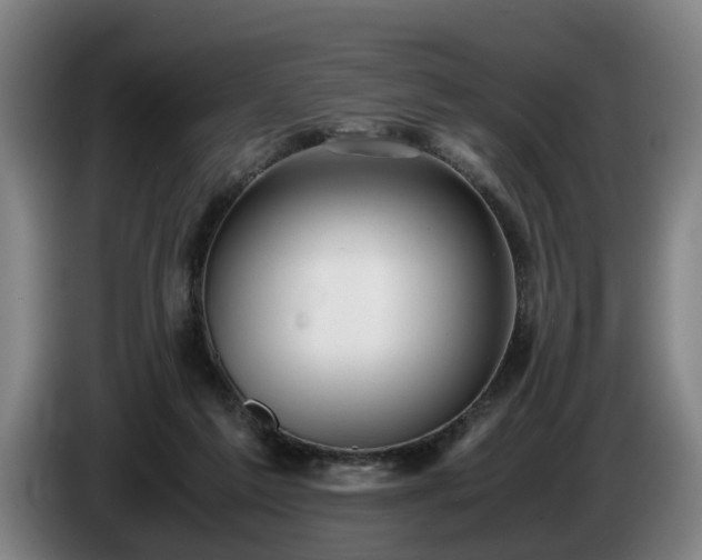 X0000086760213200704201751