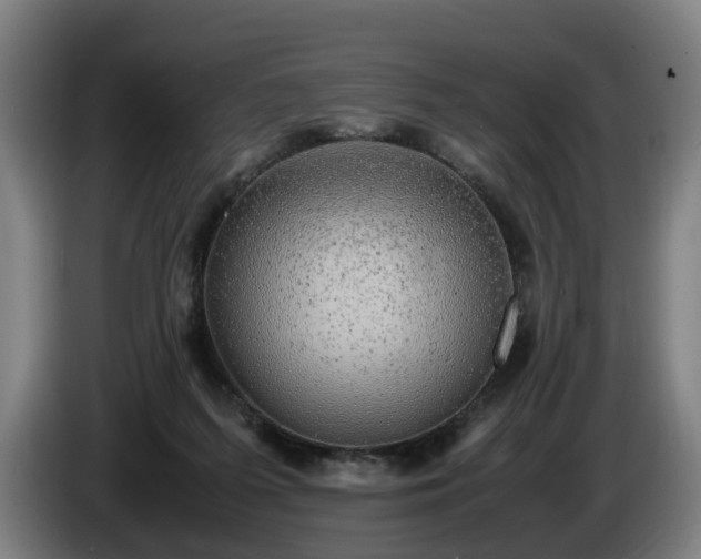 X0000086760215200704201751