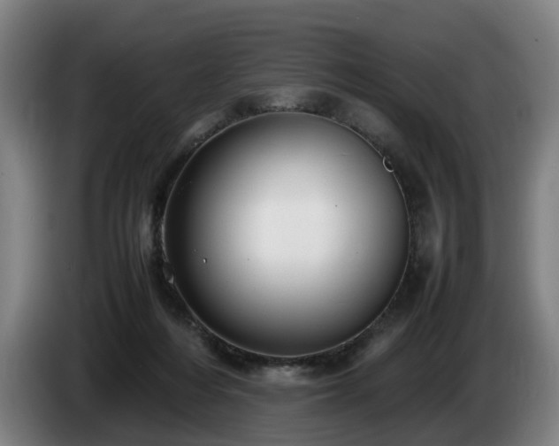 X0000086760216200704201751