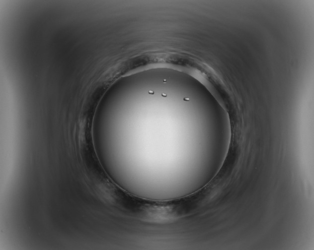 X0000086760217200704201751