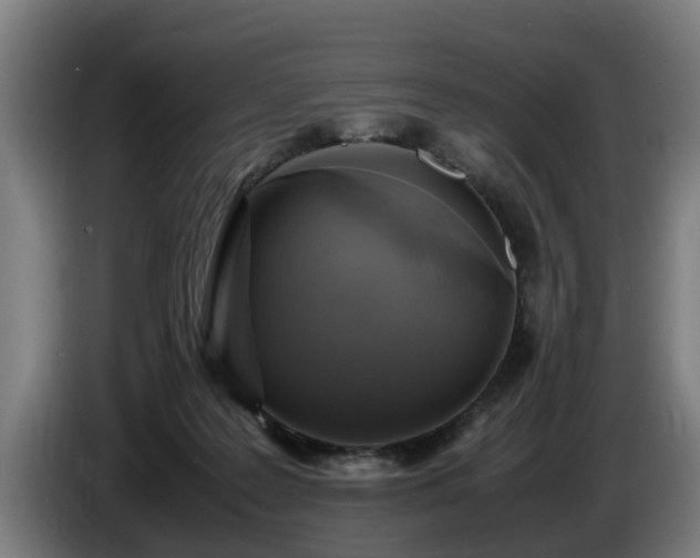 X0000086760219200704201751