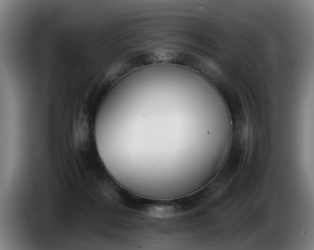 X0000086760220200704201751