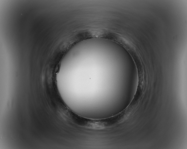 X0000086760221200704201751