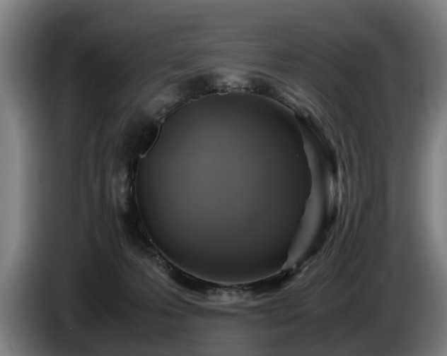 X0000086760223200704201751